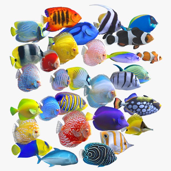 Fish Pack 21 - Coral Bay model