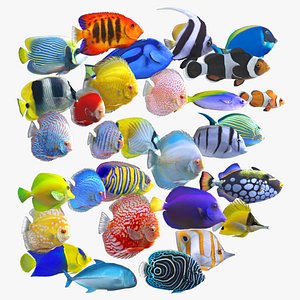 Rigged Fish Unity 3D Models For Download | TurboSquid