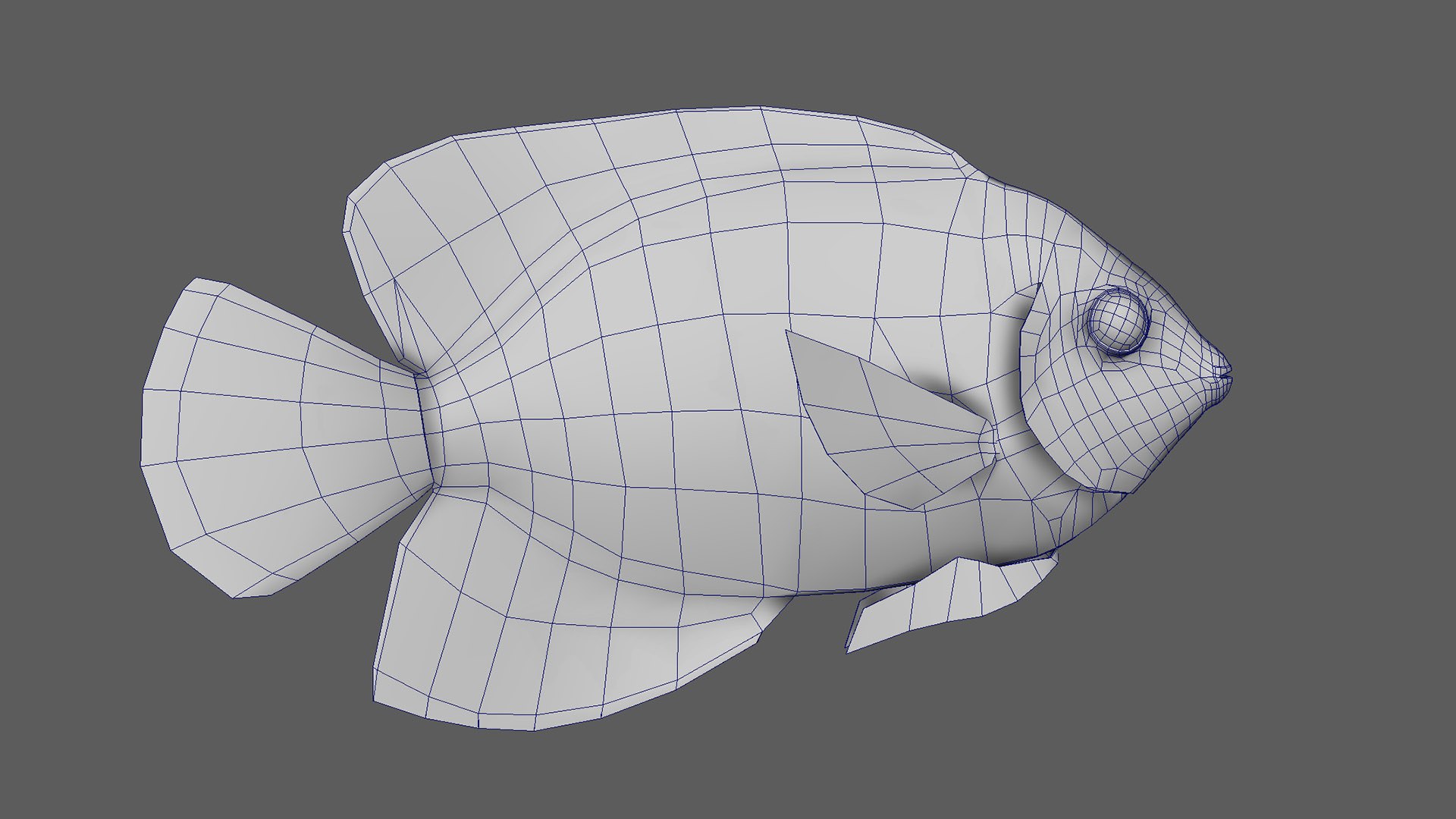 Fish Pack 21 - Coral Bay Model - TurboSquid 2065507