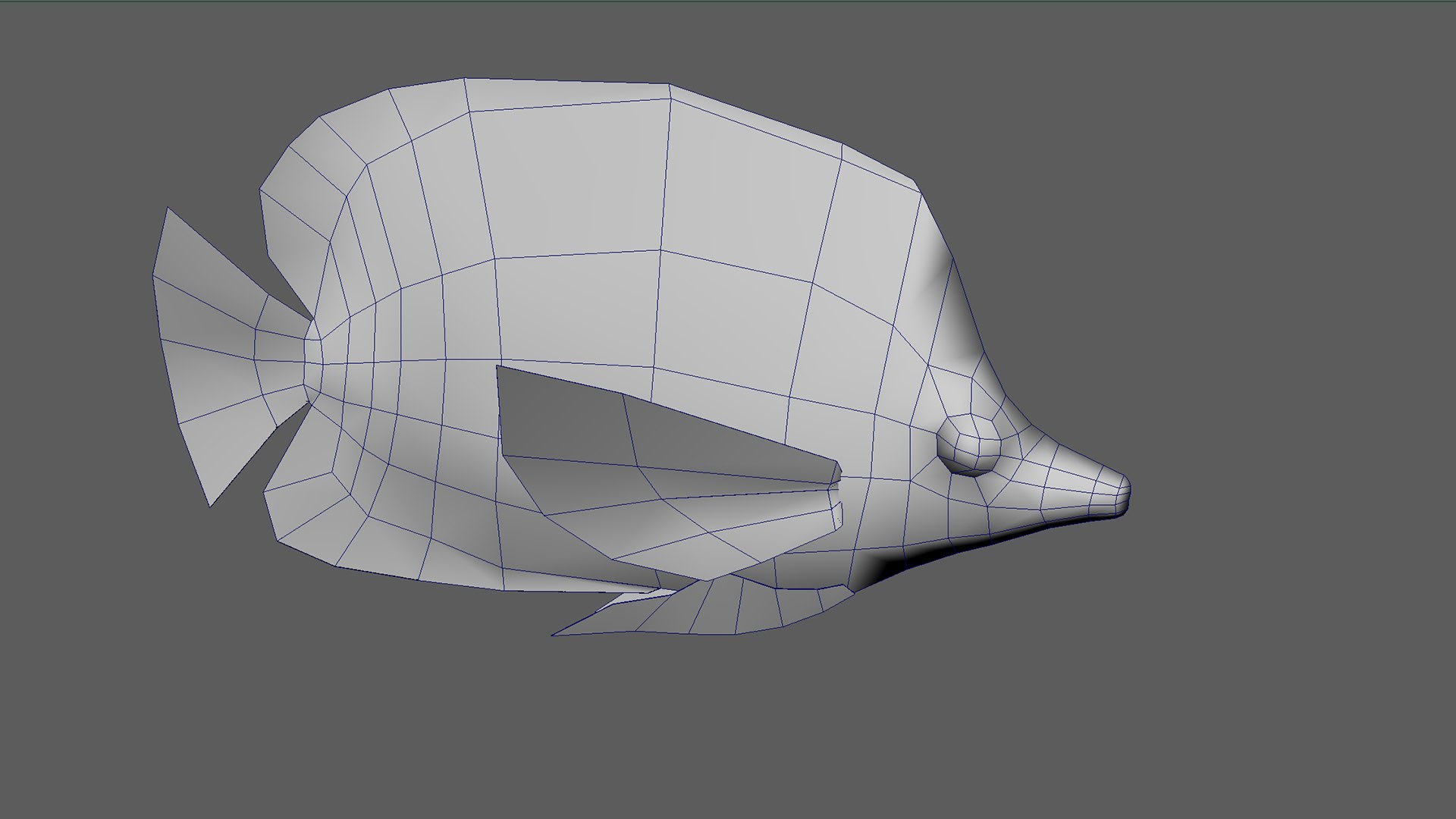 Fish Pack 21 - Coral Bay Model - TurboSquid 2065507