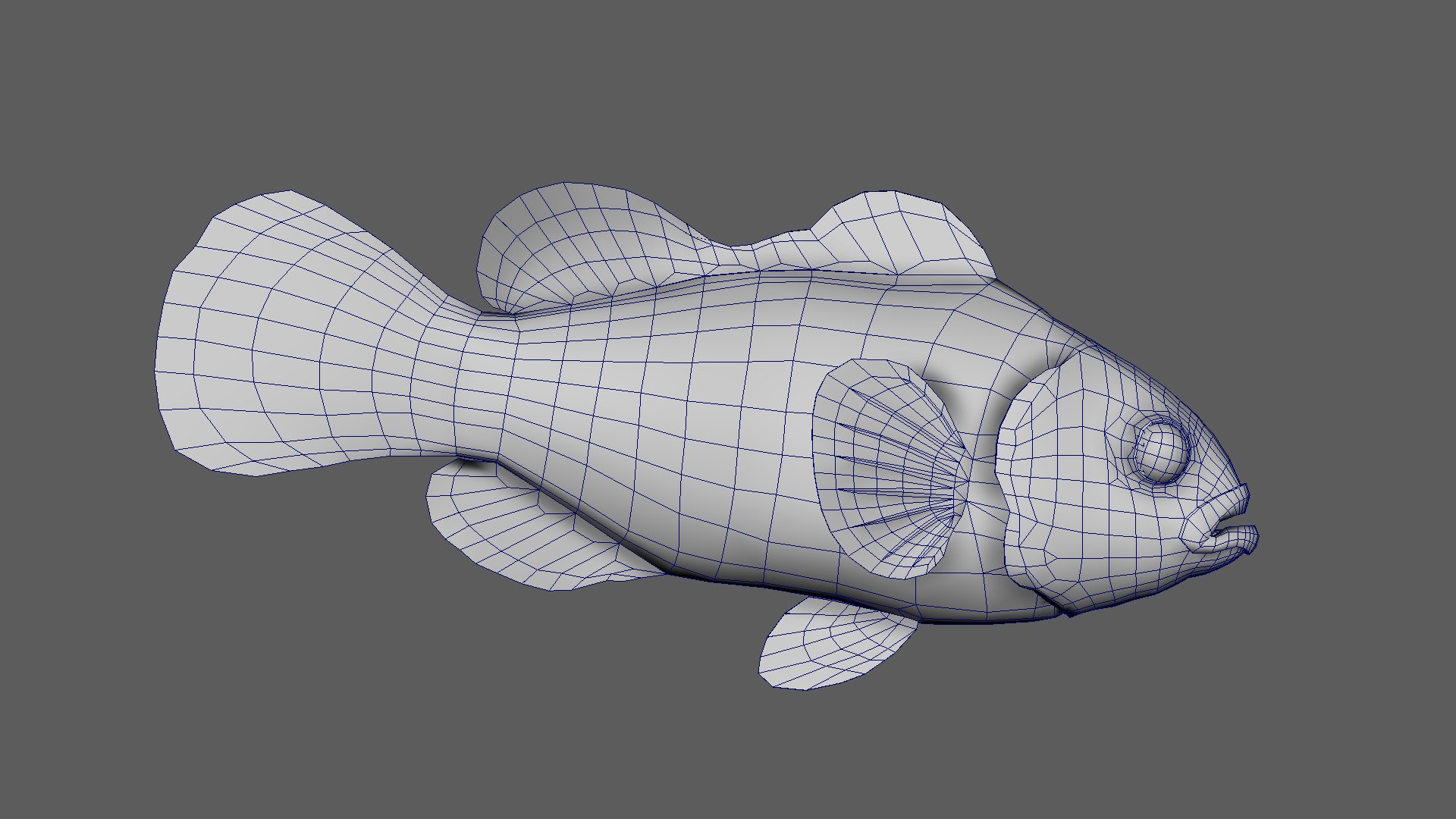 Fish Pack 21 - Coral Bay Model - TurboSquid 2065507
