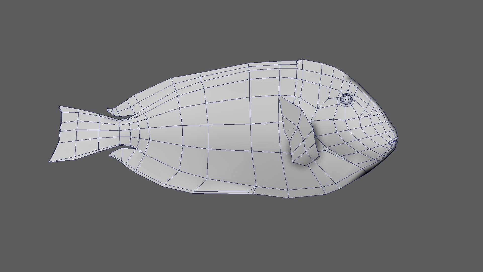 Fish Pack 21 - Coral Bay Model - TurboSquid 2065507