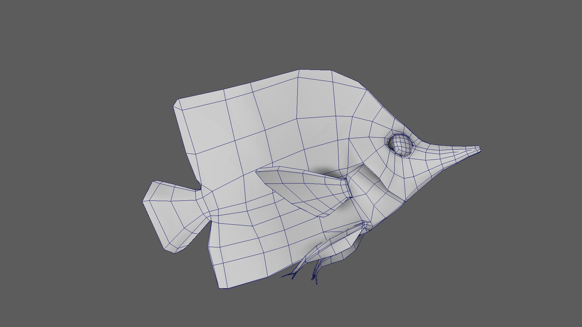 Fish Pack 21 - Coral Bay Model - TurboSquid 2065507