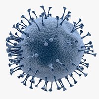 Coronavirus 2019-nCoV 03
