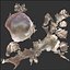 Sea Shells set