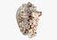 Sea Shells set