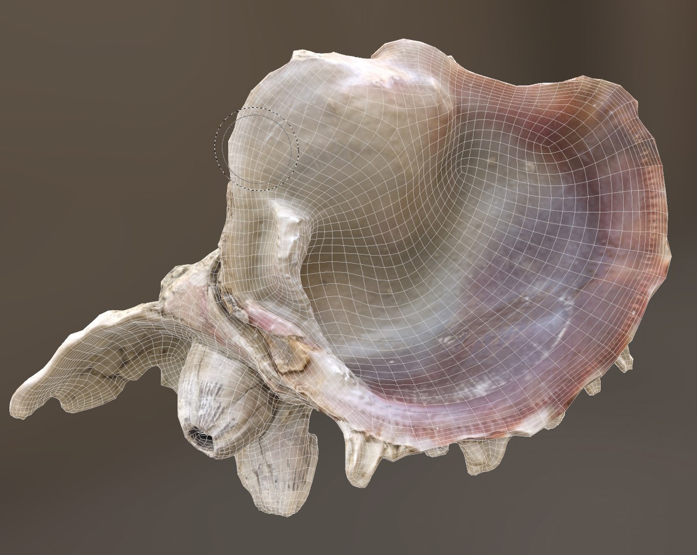 3D model Sea Shells set https://p.turbosquid.com/ts-thumb/2M/7fNjyT/kO/shell2wr/jpg/1663356168/1920x1080/fit_q87/f3fe45ec1aac36f559209312e442e8c2f6ed956f/shell2wr.jpg