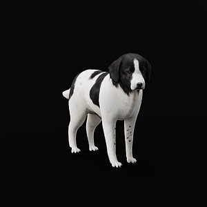 Landseer Dog 3D model