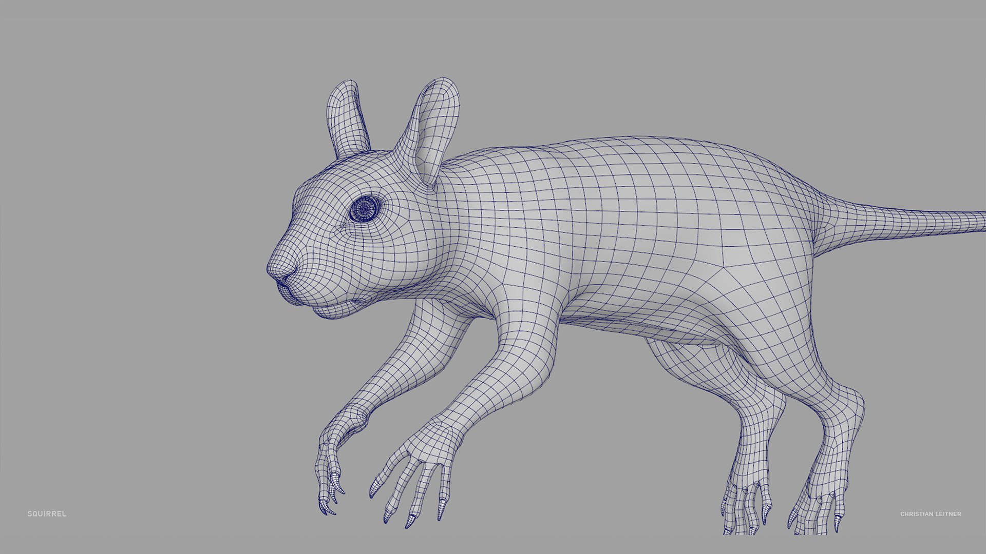 3D Squirrel Model - TurboSquid 1791085