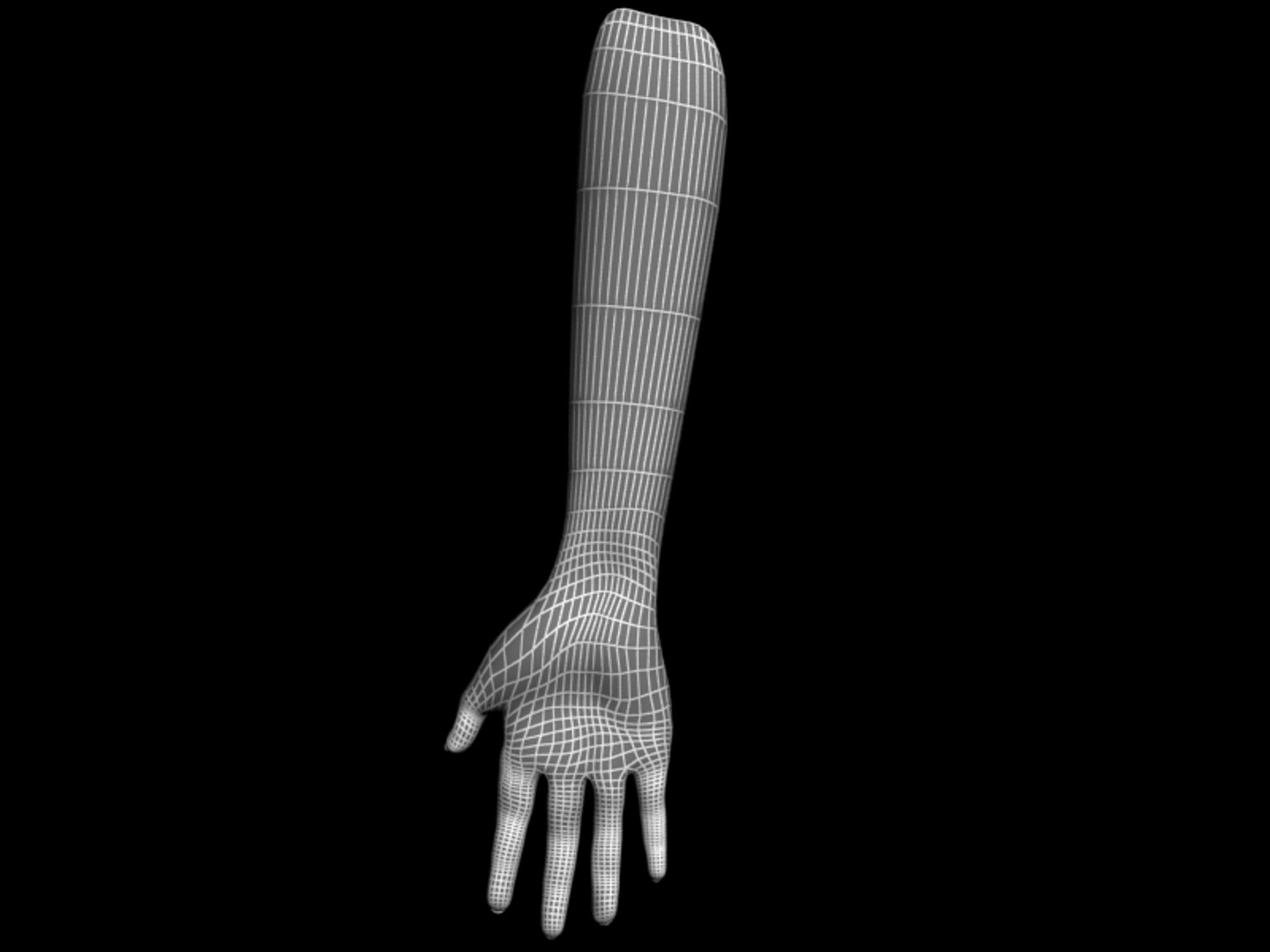 Max Hand S
