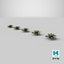 Sword Fern 08