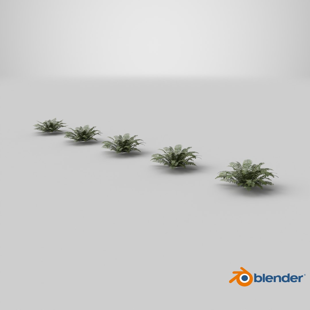 Sword Fern 08 3D model https://p.turbosquid.com/ts-thumb/2M/NijfSq/bF/stemcell_blender_cycles_render/png/1748958942/1920x1080/fit_q87/08381b513bfbe3c993ef2afd8a16c747390de9d7/stemcell_blender_cycles_render.jpg