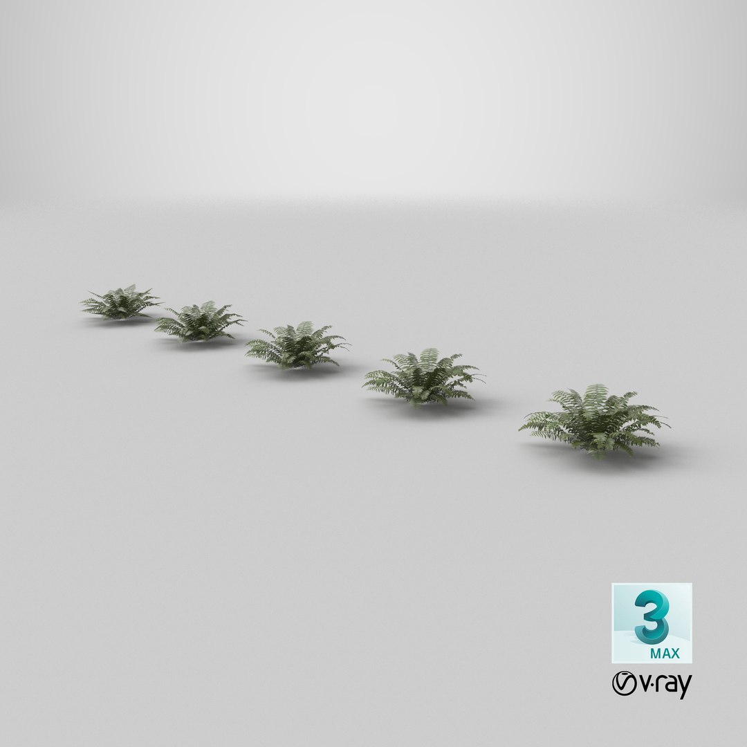 Sword Fern 08 3D model https://p.turbosquid.com/ts-thumb/2M/NijfSq/cA/stemcell_max_vray_render/png/1748958950/1920x1080/fit_q87/a0960fa795f57a683cb51dbe68c4a04e7430c520/stemcell_max_vray_render.jpg