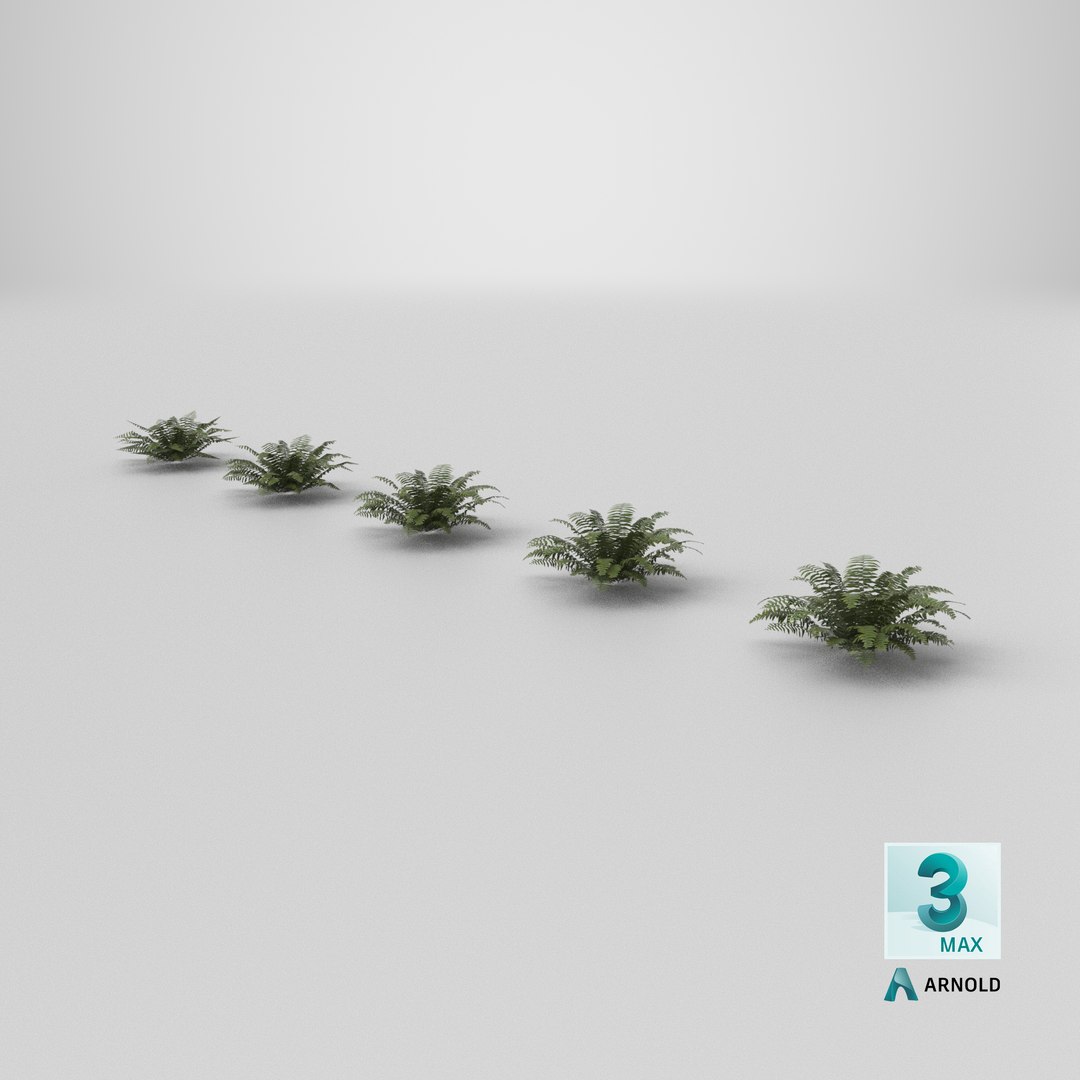 Sword Fern 08 3D model https://p.turbosquid.com/ts-thumb/2M/NijfSq/it/stemcell_max_arnold_render/png/1748958951/1920x1080/fit_q87/02732ecae097af2c6ce85c9732ec9dd2f83f8838/stemcell_max_arnold_render.jpg