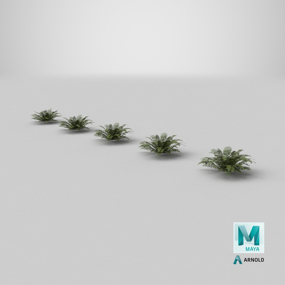 Sword Fern 08 3D model https://p.turbosquid.com/ts-thumb/2M/NijfSq/l0/stemcell_maya_arnold_render/png/1748958944/1920x1080/fit_q87/634ff62e879289965ba70267444783461bc61821/stemcell_maya_arnold_render.jpg