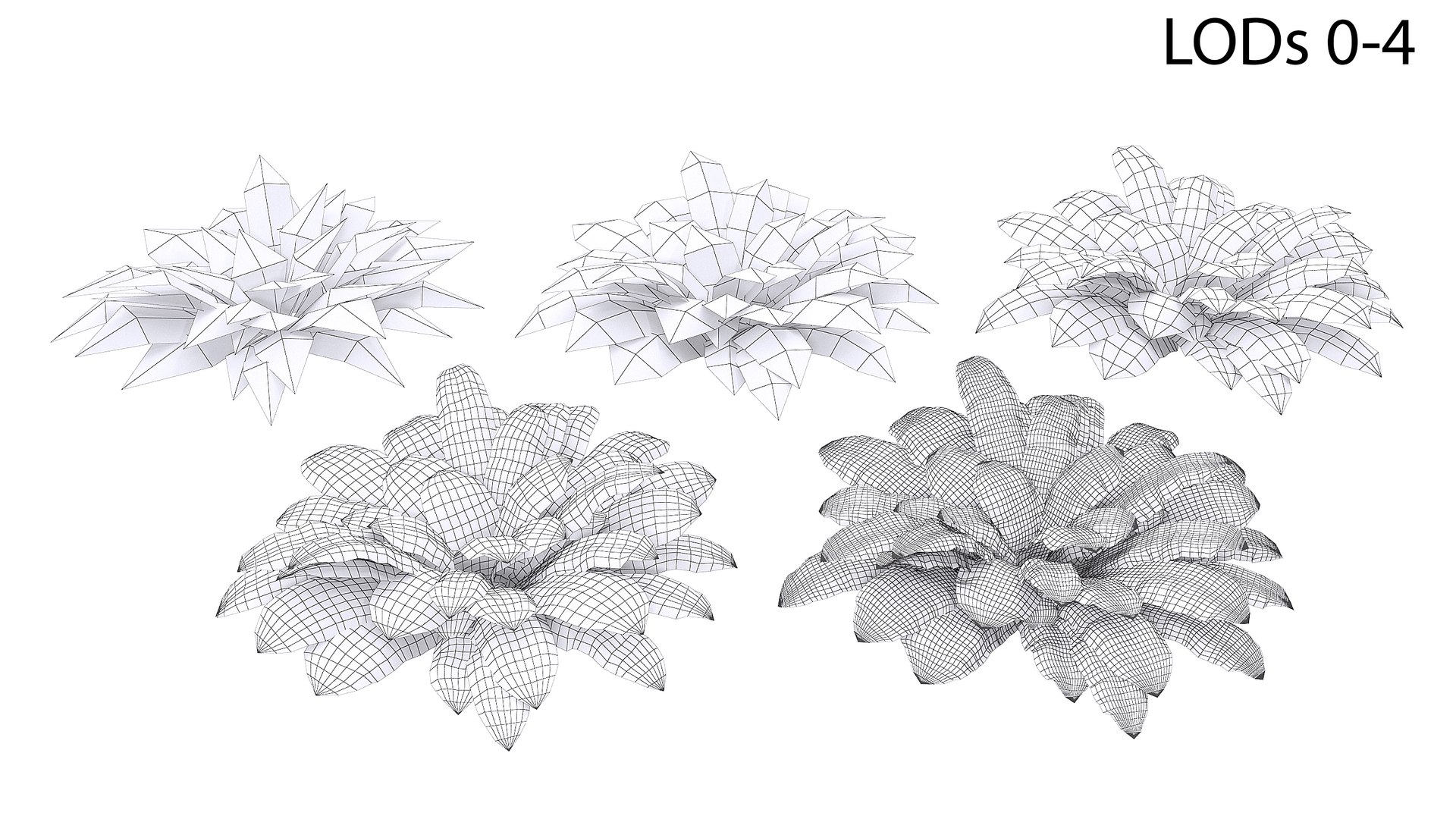 Sword Fern 08 3D model https://p.turbosquid.com/ts-thumb/2M/NijfSq/q4/wire2_/jpg/1748941643/1920x1080/fit_q87/0126191a7a40ac1682bec97855f2ca5c55b908fd/wire2_.jpg