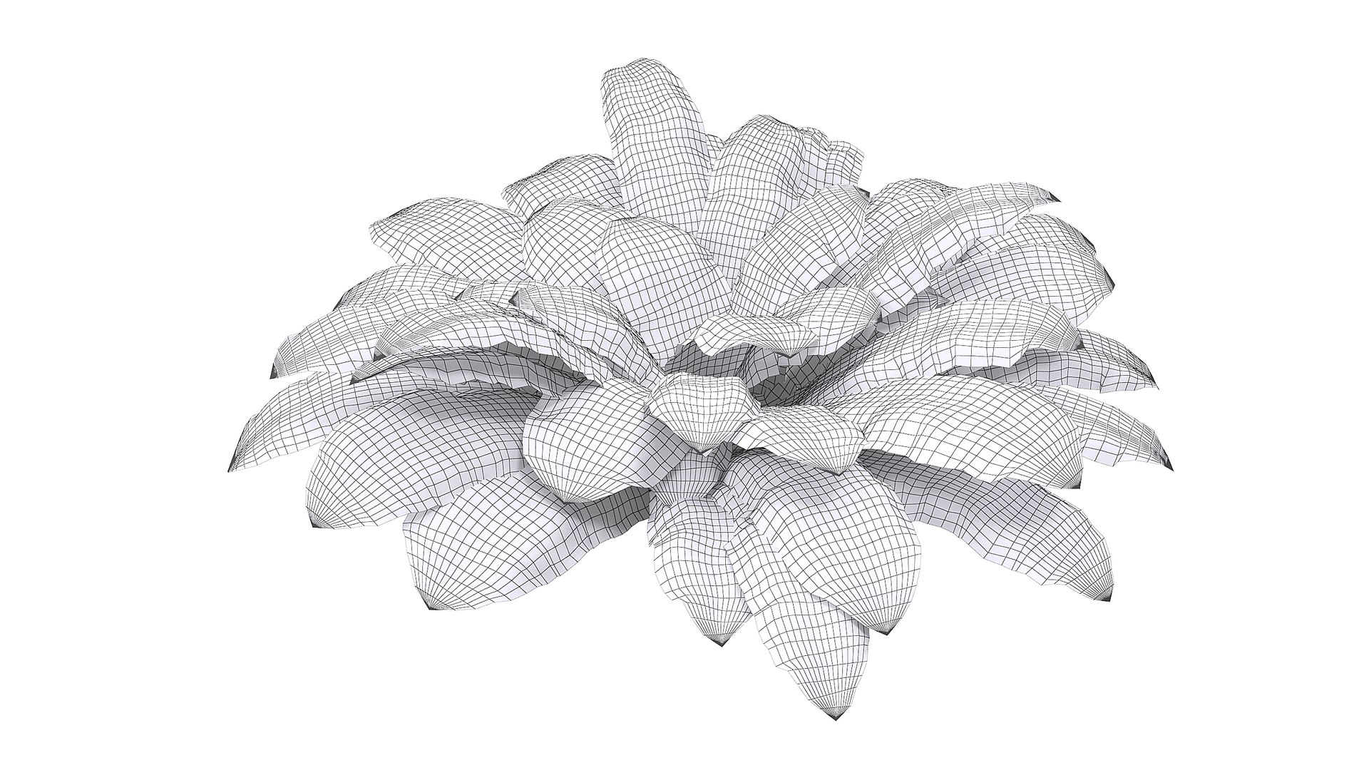 Sword Fern 08 3D model https://p.turbosquid.com/ts-thumb/2M/NijfSq/qI/wire_/jpg/1748941642/1920x1080/fit_q87/4ceb53b3984137f7d2673e13bb6455cd2ed5be78/wire_.jpg