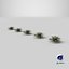 Sword Fern 08