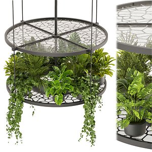 3D Collection plant vol 432 - pothos - hanging - ampelous - palm - 3dsmax - cinema 4d