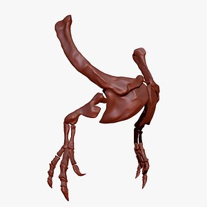 Dinosaur Giganotosaurus Arm Set