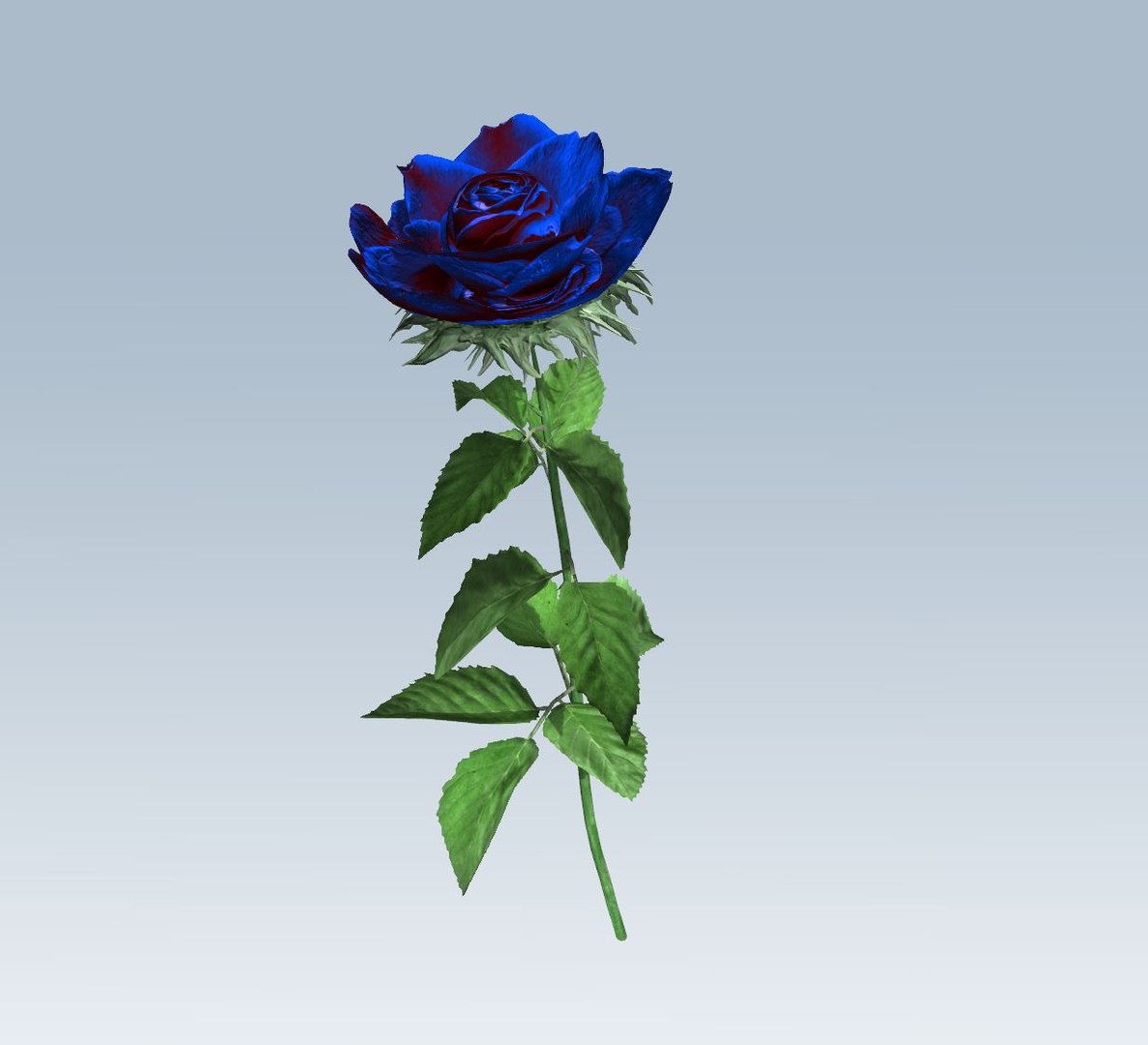 3D rose blue https://p.turbosquid.com/ts-thumb/2M/iUJbUl/6edeYUlA/3/jpg/1559643261/1920x1080/fit_q87/cd0f36a1fa0adc414cfcafa2bf6300f382f0350d/3.jpg