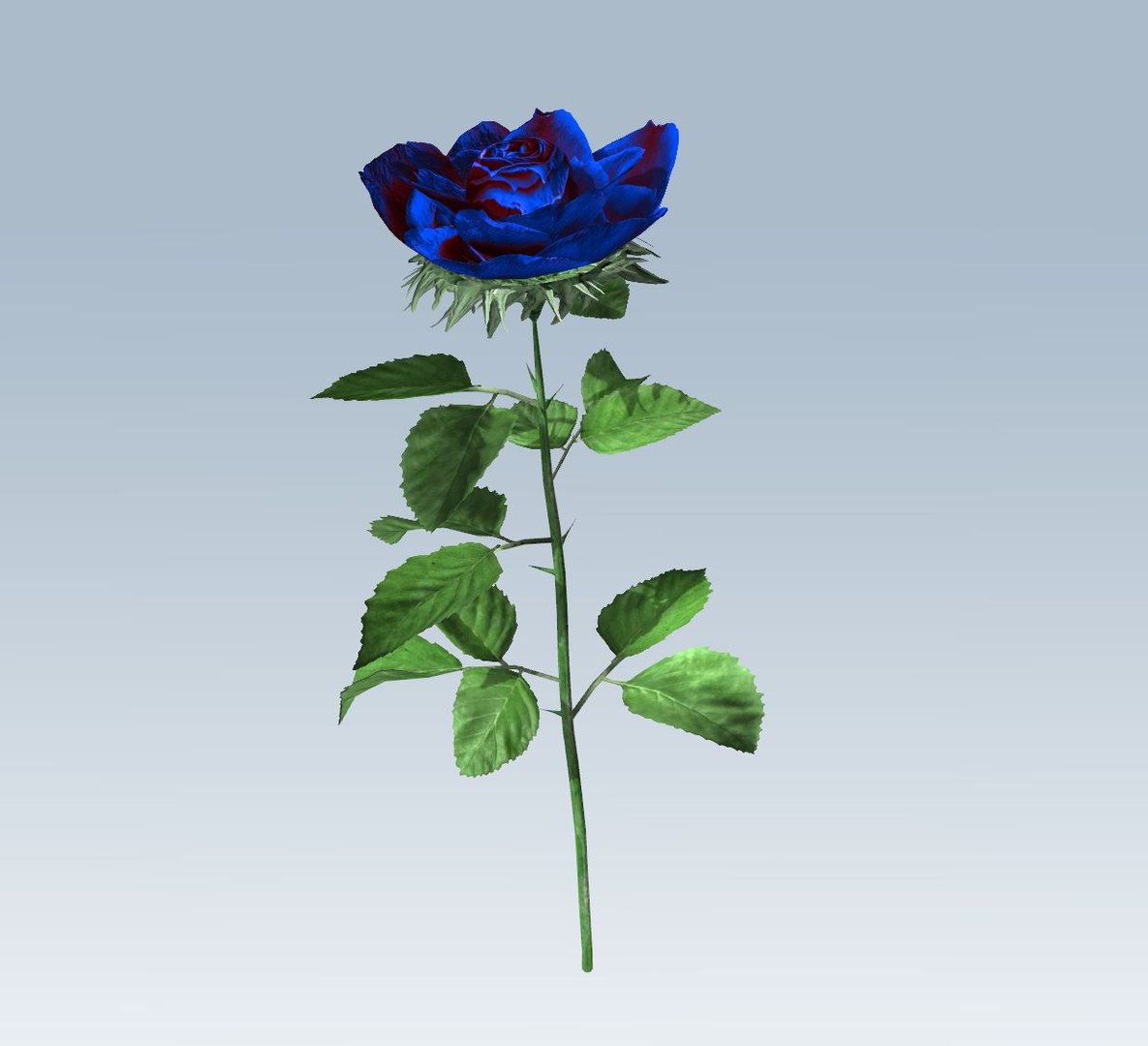 3D rose blue https://p.turbosquid.com/ts-thumb/2M/iUJbUl/ANuUFU6G/4/jpg/1559643308/1920x1080/fit_q87/ee7c8eb987d829307b6bd2360bcfb754b27b4ce3/4.jpg