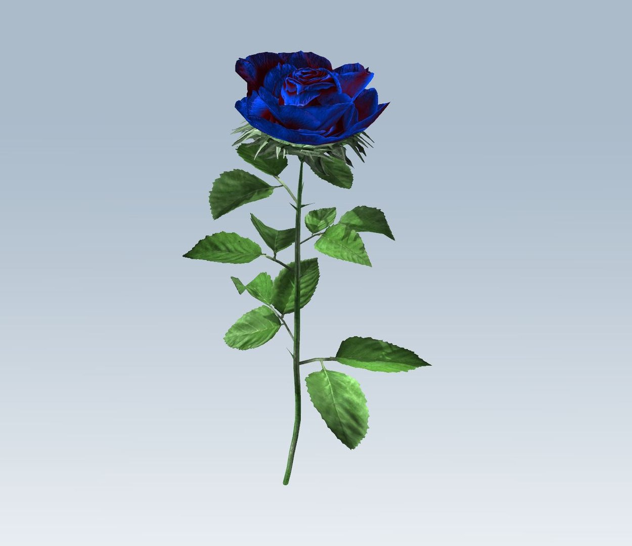 3D rose blue https://p.turbosquid.com/ts-thumb/2M/iUJbUl/I0jSHnN0/5/jpg/1559643337/1920x1080/fit_q87/ed91a2a2cd9620a890d5f0623d1f14e3f9b100b5/5.jpg