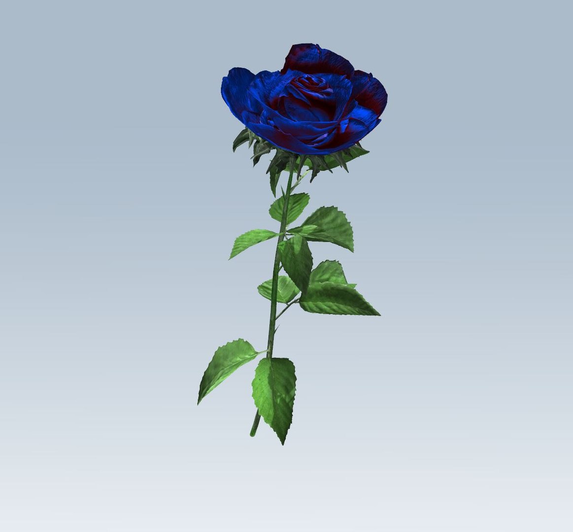 3D rose blue https://p.turbosquid.com/ts-thumb/2M/iUJbUl/ixnRJD6M/6/jpg/1559643356/1920x1080/fit_q87/cf32ff874a3099134718dc4edfc8a48cd9fe0405/6.jpg