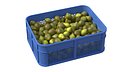 Quince Plastic Crate
