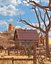 Western Ranch Landscape