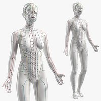 Female Acupuncture Mannequin