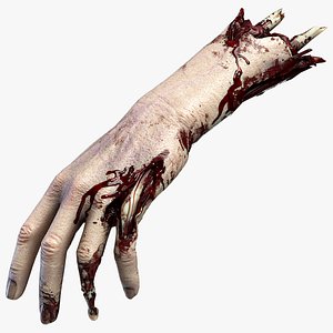 3D Severed hand model