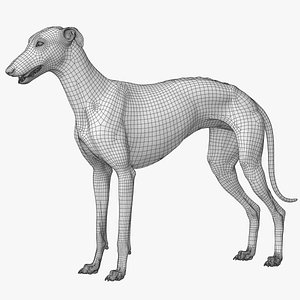 Greyhound Lowpoly 3D