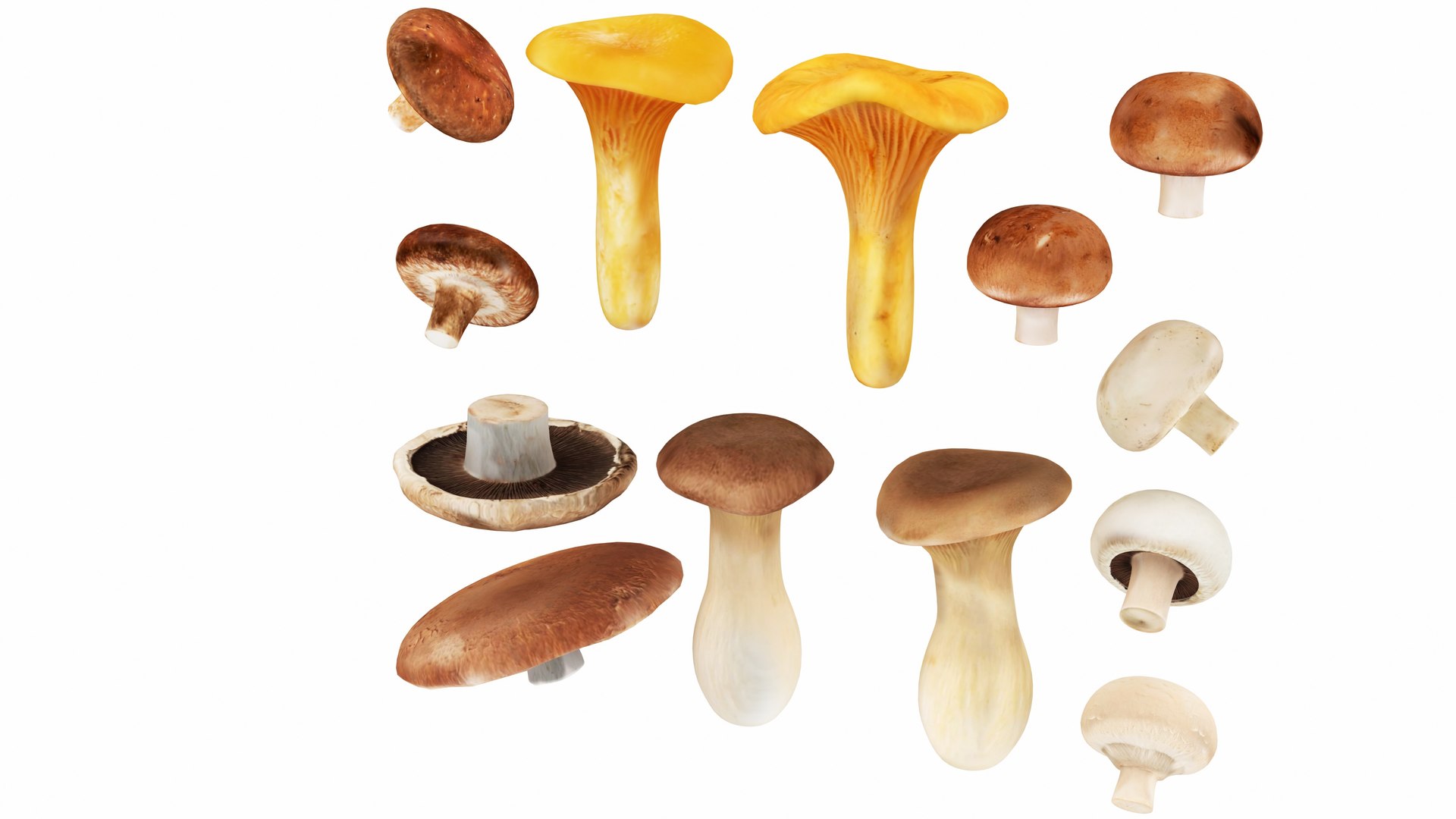 20 in 1 Veggie Set 3D https://p.turbosquid.com/ts-thumb/2M/rcDfbI/Zc/mushrooms2/jpg/1769811964/1920x1080/fit_q87/96ab38a514eba9aeae91946e9b7d03981231581f/mushrooms2.jpg