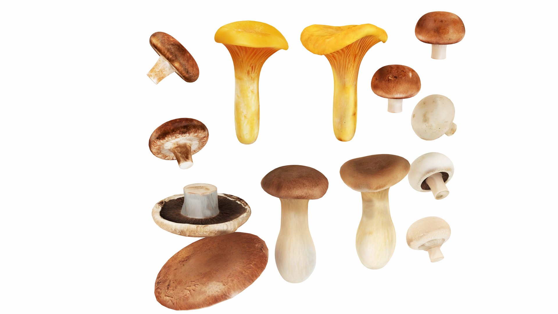 20 in 1 Veggie Set 3D https://p.turbosquid.com/ts-thumb/2M/rcDfbI/o8/mushrooms3/jpg/1769811966/1920x1080/fit_q87/8b636806c74a484535d321fc981687569cdba919/mushrooms3.jpg