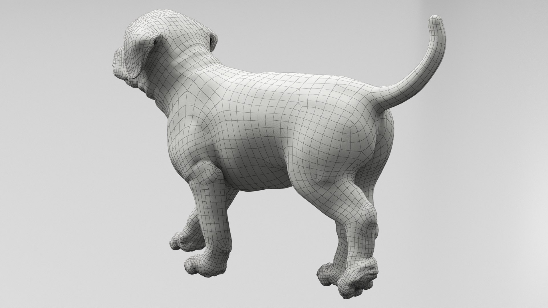 3D Labrador Retriever Puppy Walk and Run Fur Animated Rigged For Maya model https://p.turbosquid.com/ts-thumb/2N/0wuxi3/3X/labrador_retriever_puppy_walk_and_run_fur_animated_rigged_for_maya_012/jpg/1773783777/1920x1080/fit_q87/03fa6f734413bb57538e3f7ebf7c0c25c8fc3fcb/labrador_retriever_puppy_walk_and_run_fur_animated_rigged_for_maya_012.jpg