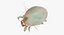 dust mite animation model