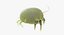 dust mite animation model