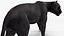 Black Panther Walking Pose