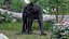 Black Panther Walking Pose