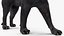 Black Panther Walking Pose