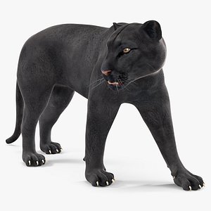 Black Panther Walking Pose