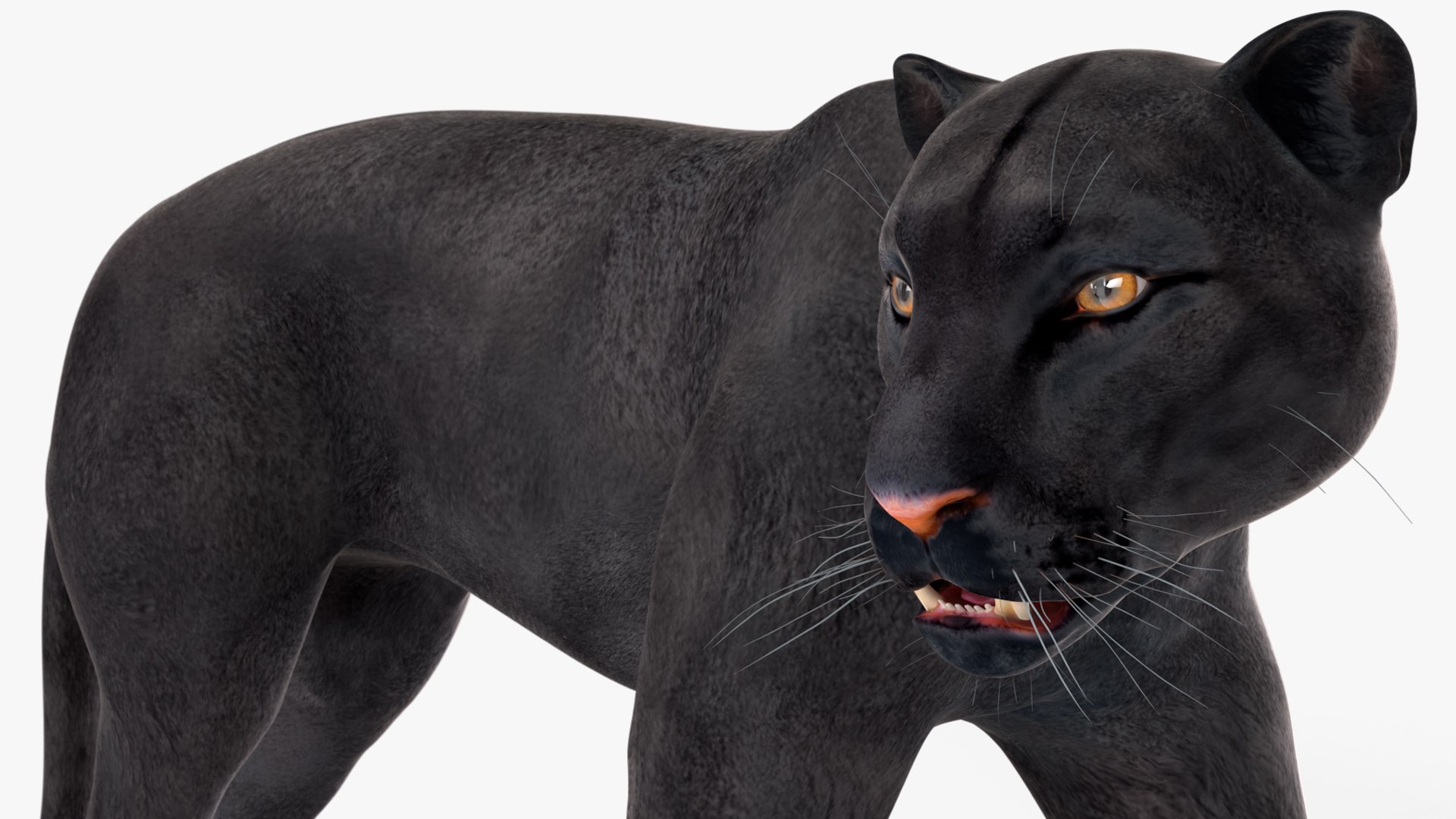 3D Black Panther Walking Pose https://p.turbosquid.com/ts-thumb/2N/IJbFut/NZ/blackpantherwalkingposec4dmodel016/jpg/1712871885/1920x1080/fit_q87/b5dc34b6a60545cb6bf1bd2e4b1807b94e700ffd/blackpantherwalkingposec4dmodel016.jpg