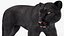 Black Panther Walking Pose