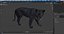 Black Panther Walking Pose