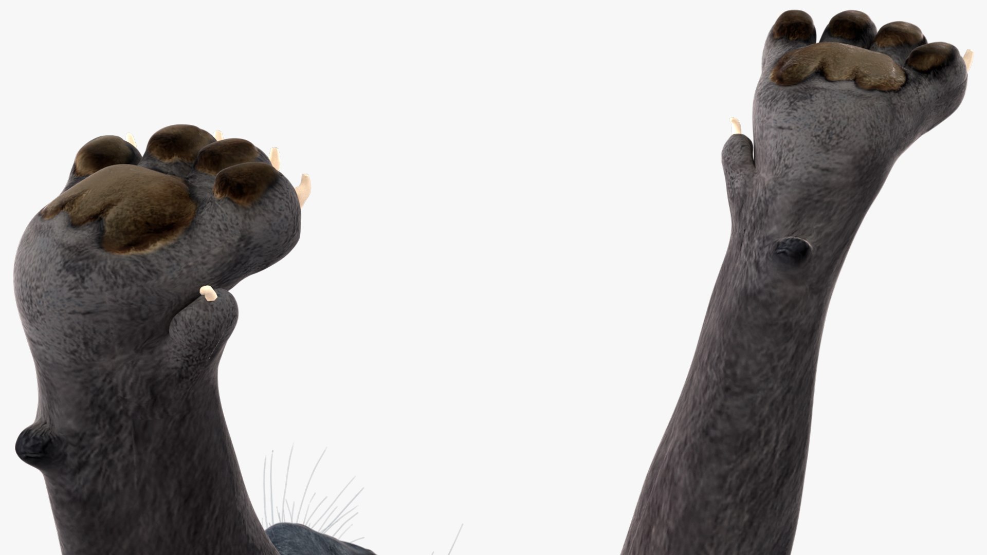 3D Black Panther Walking Pose https://p.turbosquid.com/ts-thumb/2N/IJbFut/Pz/blackpantherwalkingposec4dmodel015/jpg/1712871881/1920x1080/fit_q87/aebefd2ae92290b70346580ea594431e7df7f6cf/blackpantherwalkingposec4dmodel015.jpg