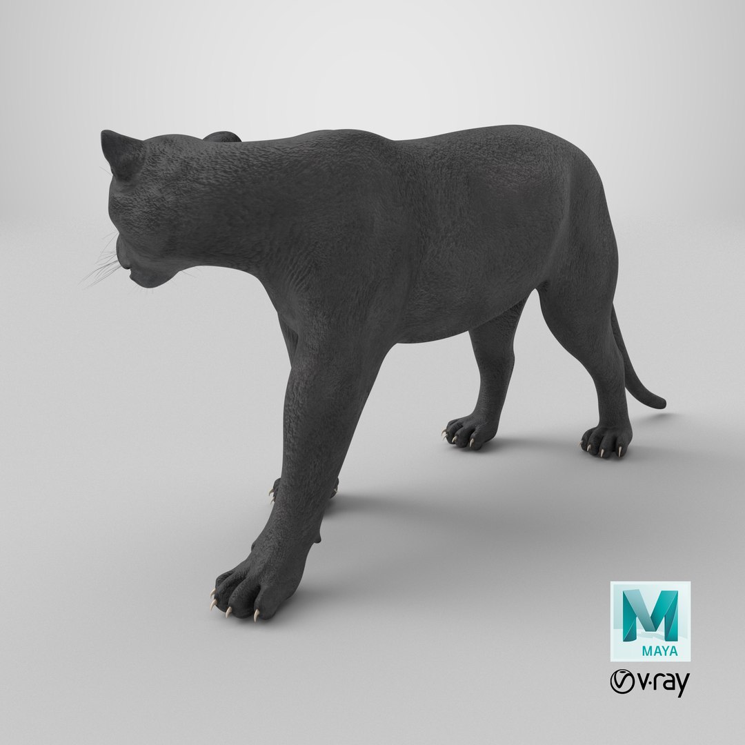 3D Black Panther Walking Pose https://p.turbosquid.com/ts-thumb/2N/IJbFut/QJ/stemcell_maya_vray_render/png/1718639082/1920x1080/fit_q87/50b3e2c5fbb772b771060d219bd97f64a8bb7863/stemcell_maya_vray_render.jpg