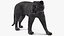 Black Panther Walking Pose