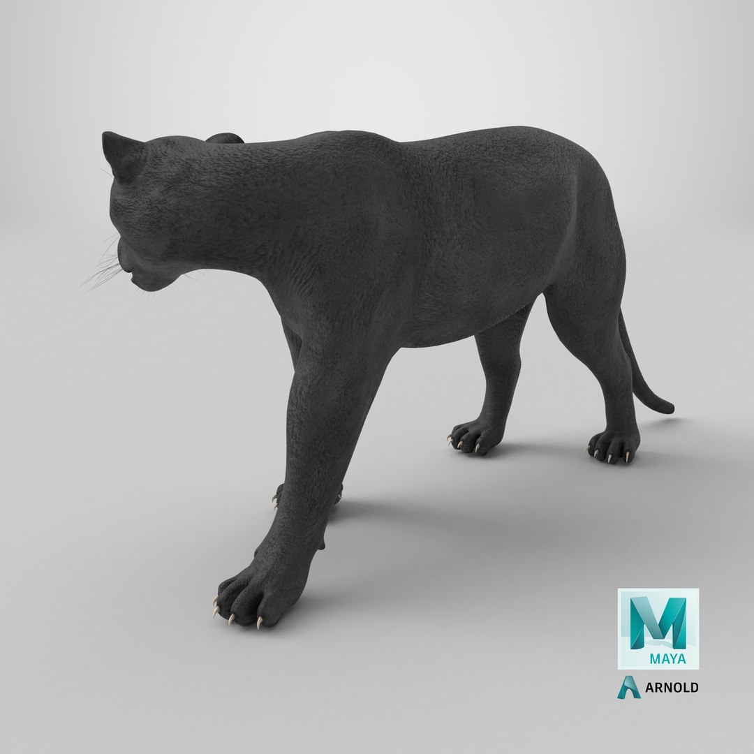 3D Black Panther Walking Pose https://p.turbosquid.com/ts-thumb/2N/IJbFut/S2/stemcell_maya_arnold_render/png/1718639080/1920x1080/fit_q87/7976087ec2ea4961870ef55978b4e1faf4bb2331/stemcell_maya_arnold_render.jpg