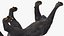 Black Panther Walking Pose